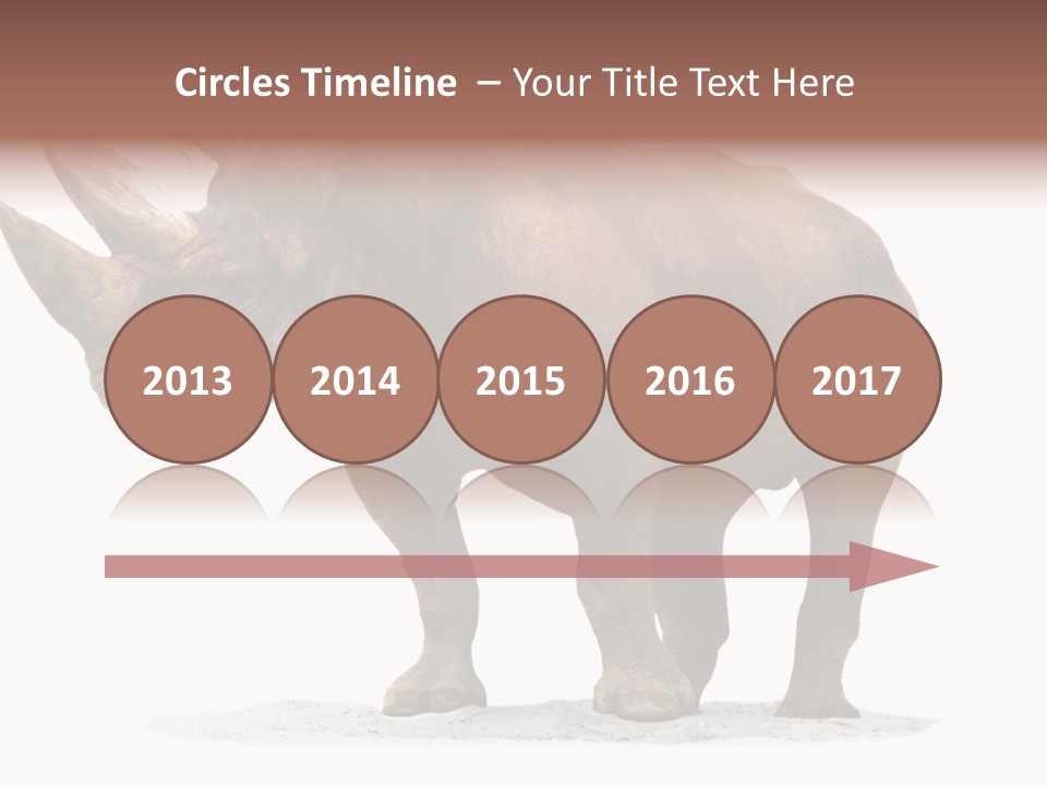 Wild Black Diceros PowerPoint Template