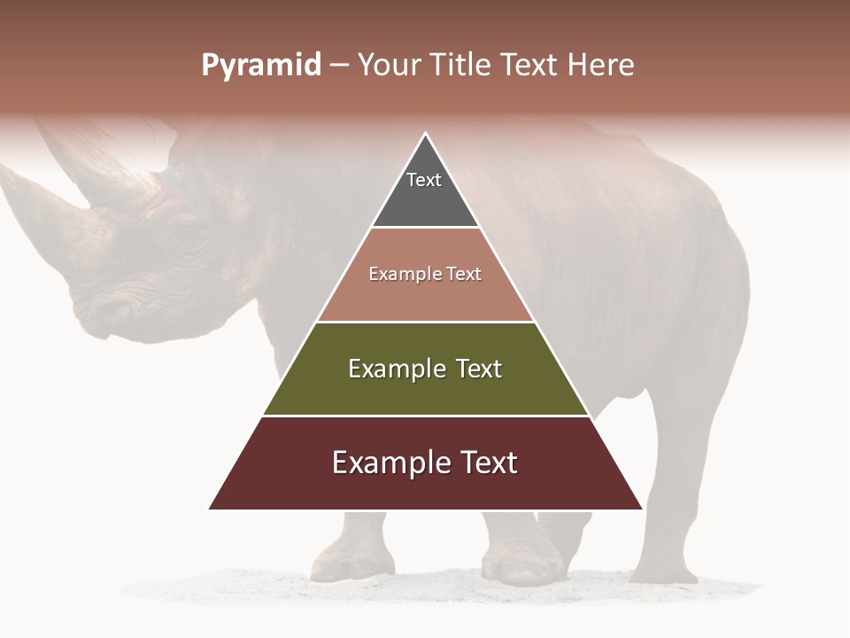 Wild Black Diceros PowerPoint Template