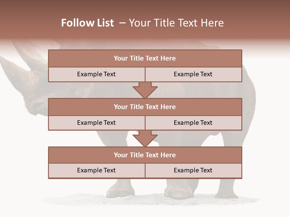 Wild Black Diceros PowerPoint Template