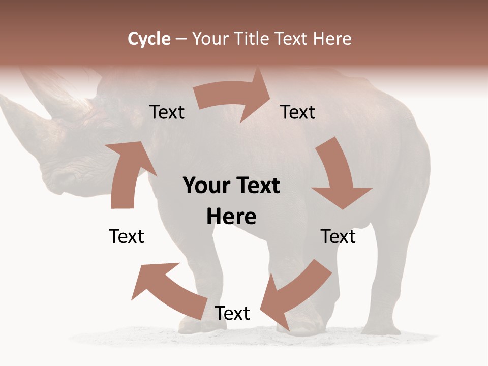 Wild Black Diceros PowerPoint Template