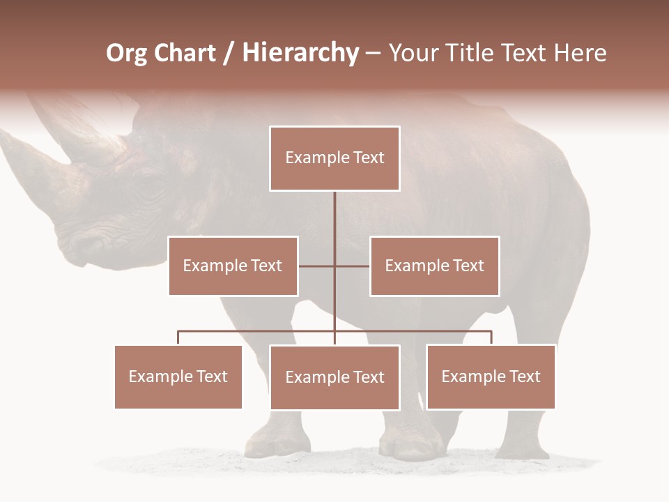 Wild Black Diceros PowerPoint Template