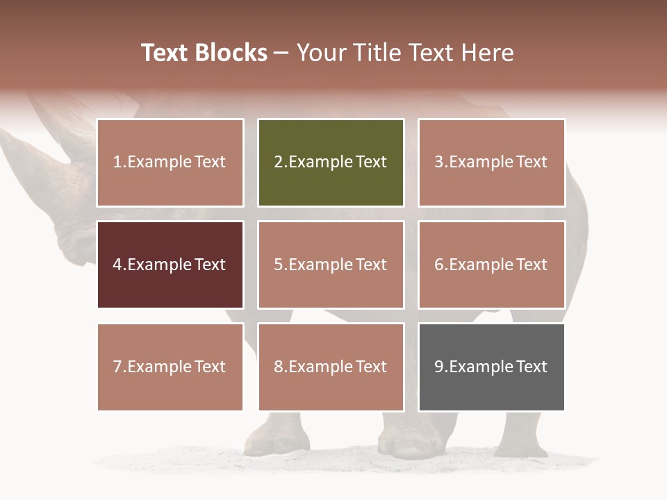 Wild Black Diceros PowerPoint Template