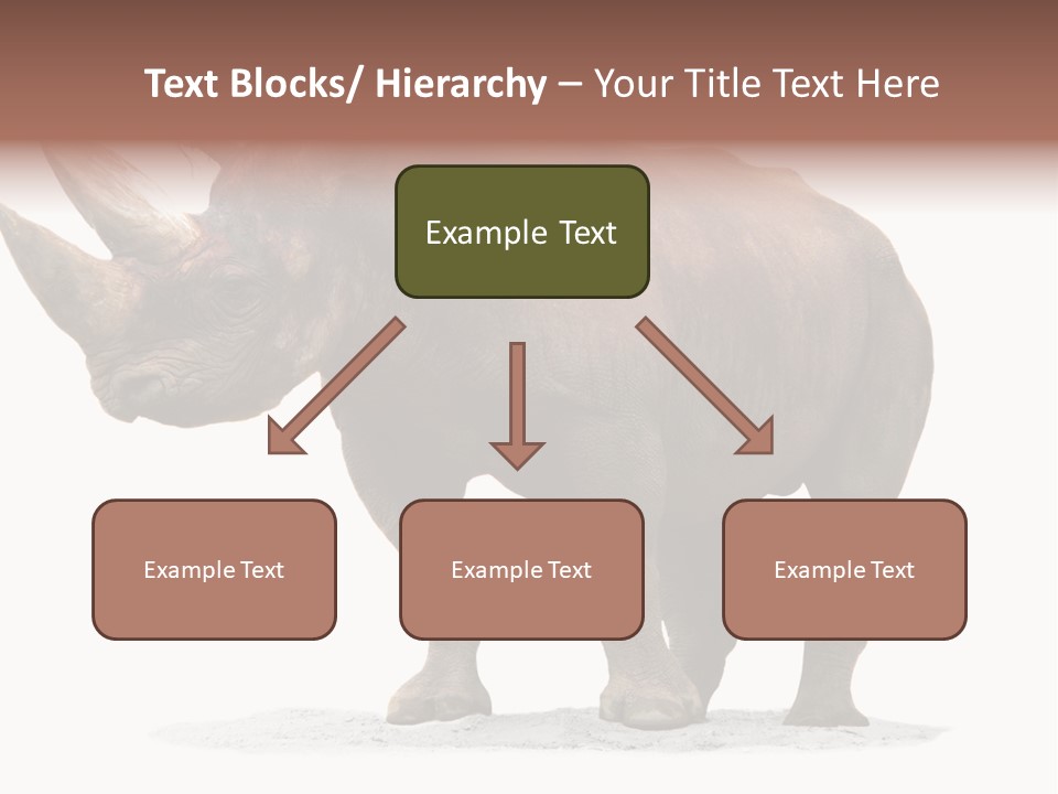 Wild Black Diceros PowerPoint Template