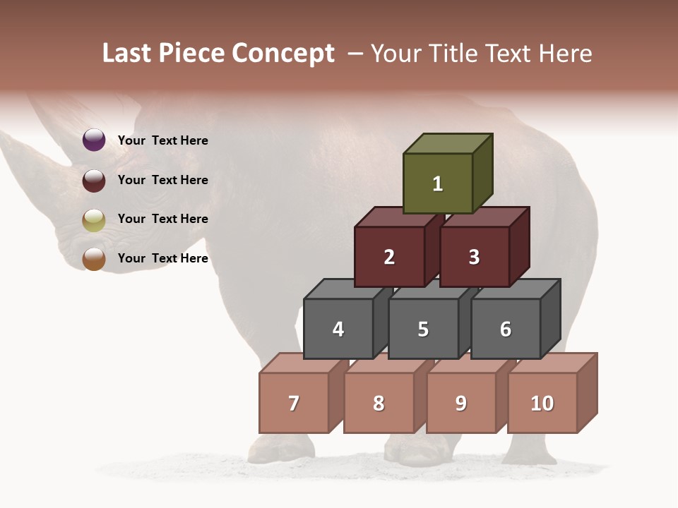 Wild Black Diceros PowerPoint Template