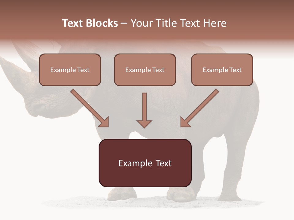 Wild Black Diceros PowerPoint Template