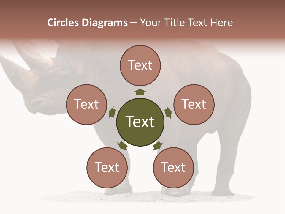 Wild Black Diceros PowerPoint Template