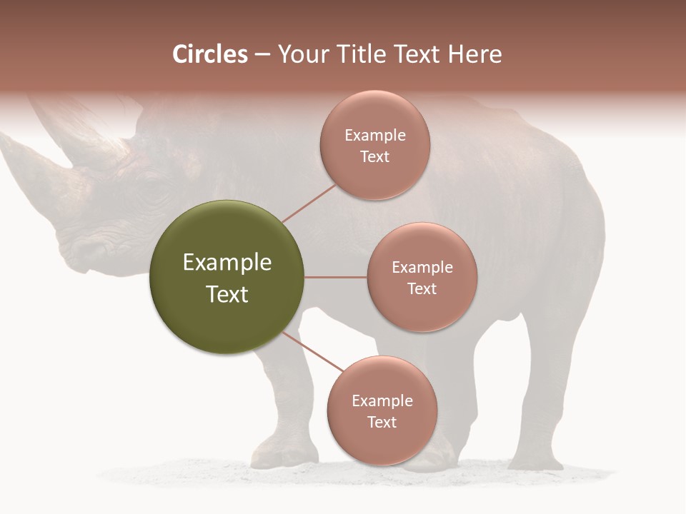 Wild Black Diceros PowerPoint Template