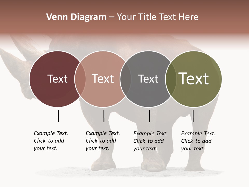 Wild Black Diceros PowerPoint Template