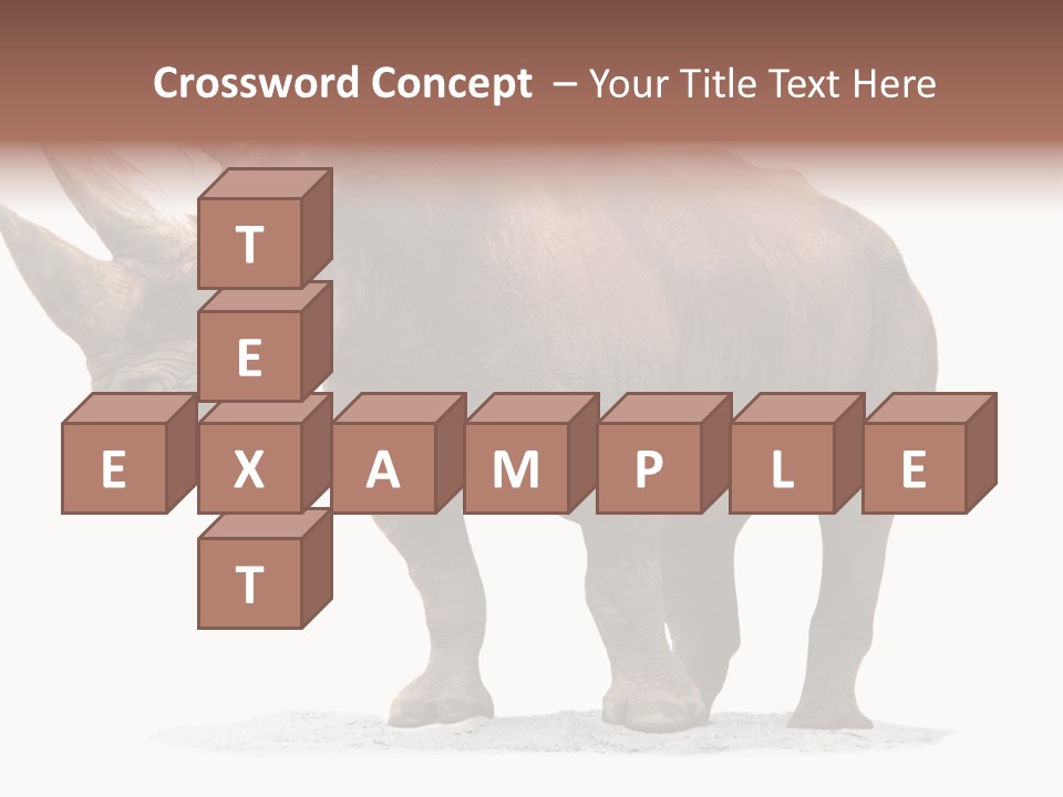 Wild Black Diceros PowerPoint Template