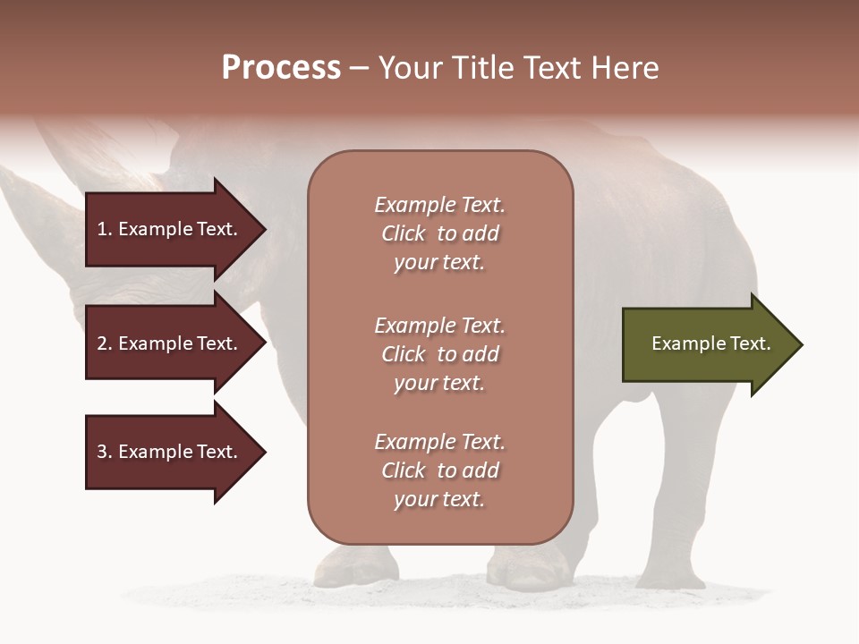 Wild Black Diceros PowerPoint Template