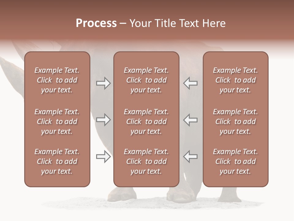 Wild Black Diceros PowerPoint Template