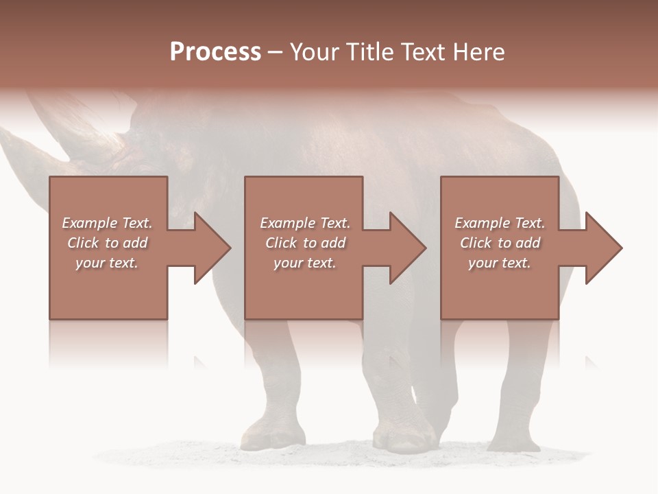 Wild Black Diceros PowerPoint Template