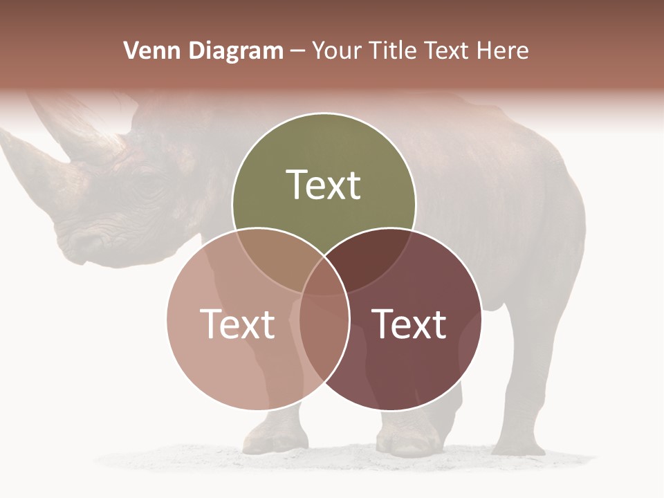 Wild Black Diceros PowerPoint Template