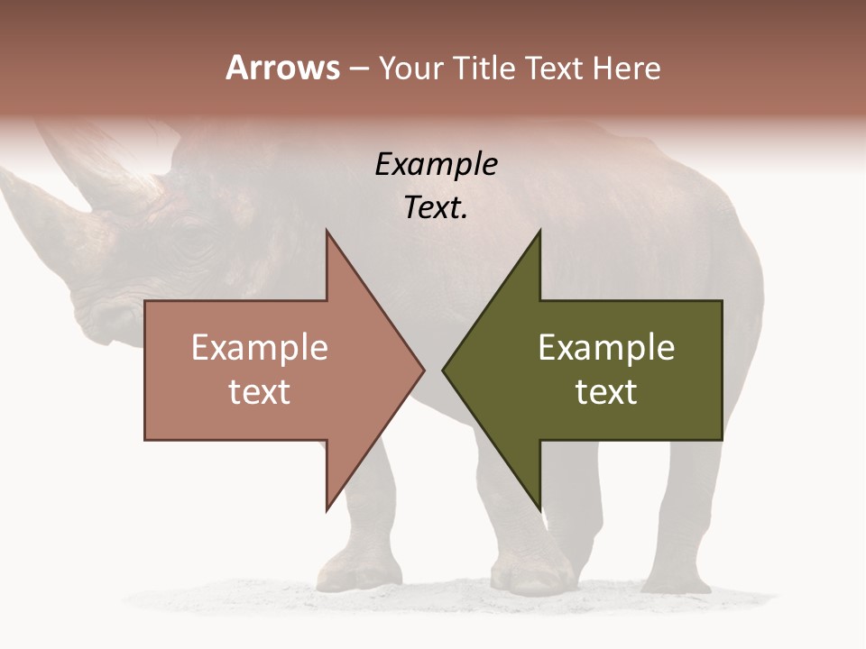 Wild Black Diceros PowerPoint Template