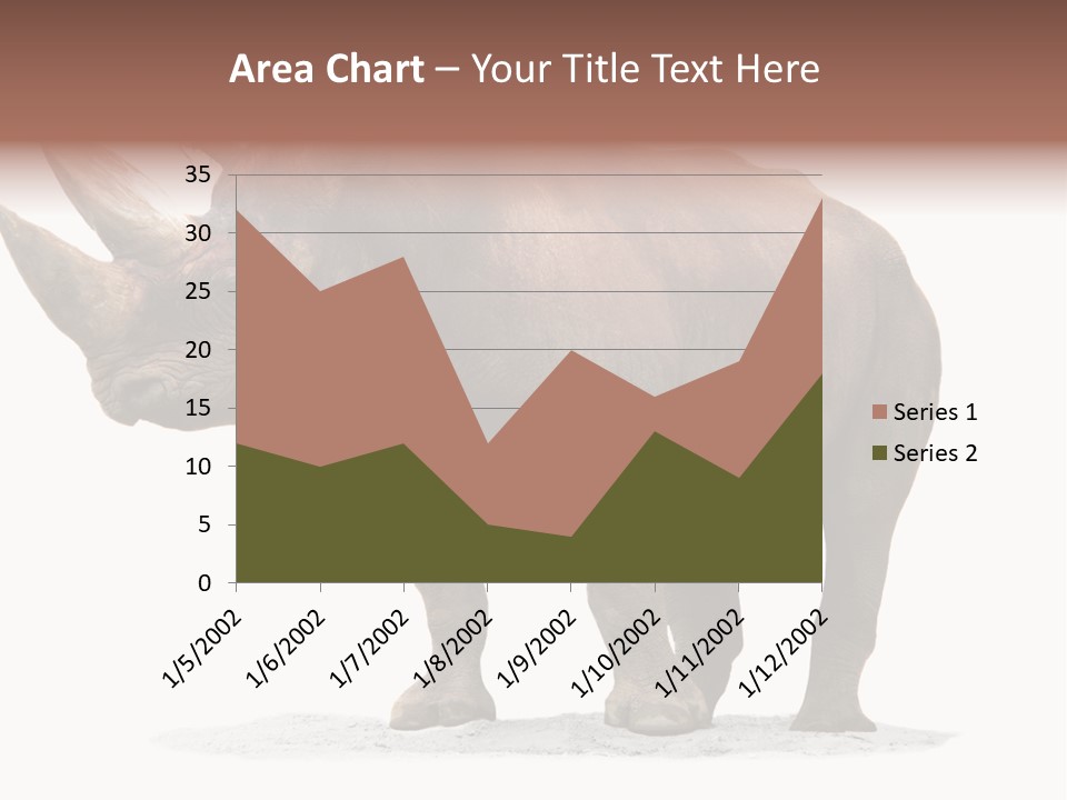 Wild Black Diceros PowerPoint Template