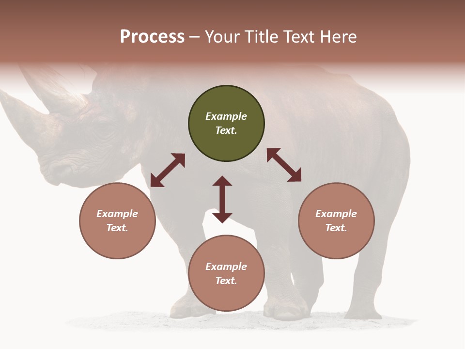 Wild Black Diceros PowerPoint Template