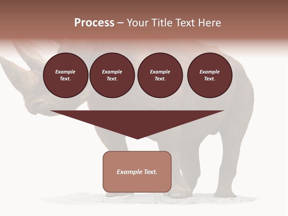 Wild Black Diceros PowerPoint Template