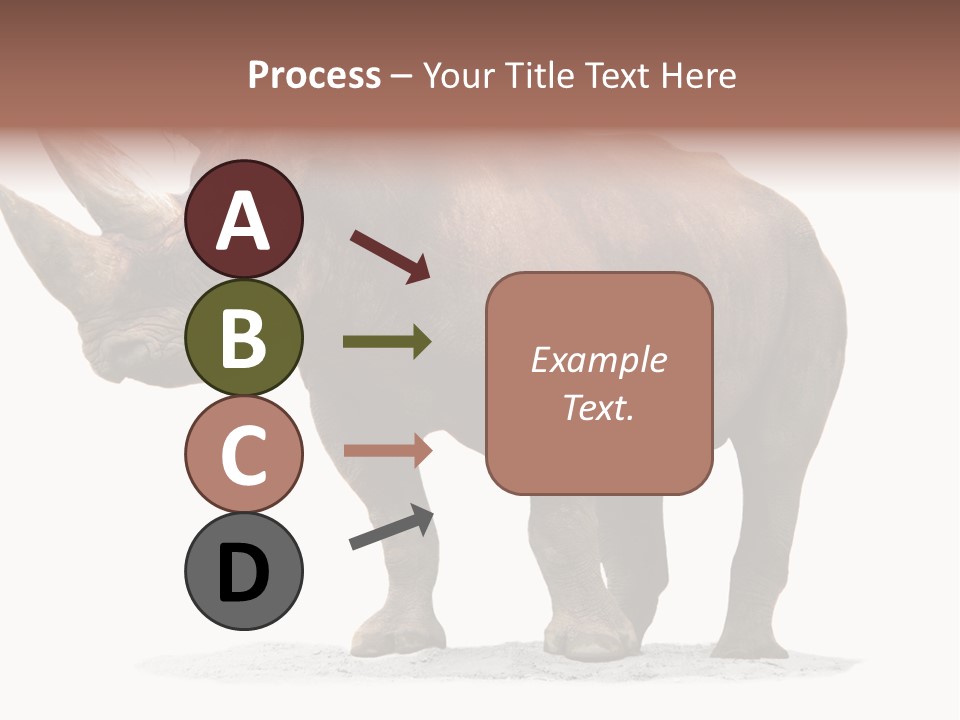 Wild Black Diceros PowerPoint Template