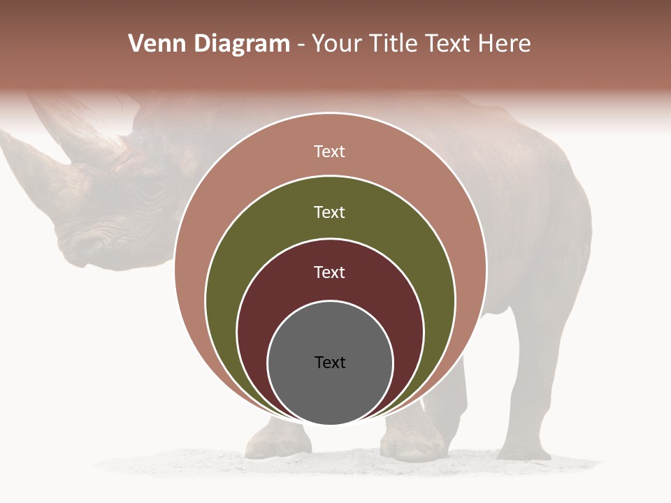 Wild Black Diceros PowerPoint Template