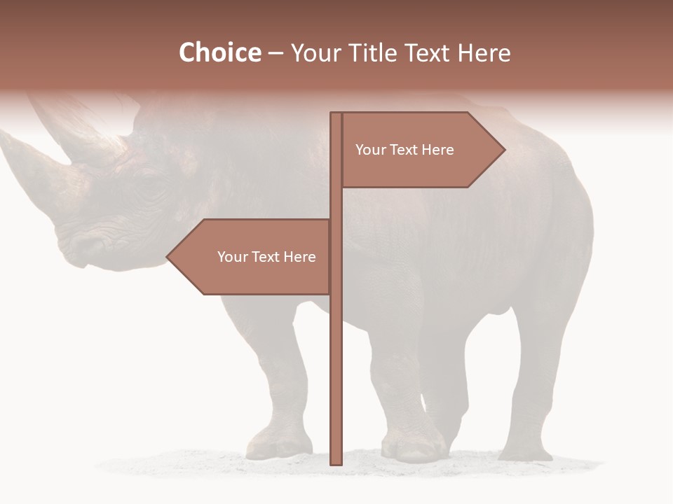 Wild Black Diceros PowerPoint Template
