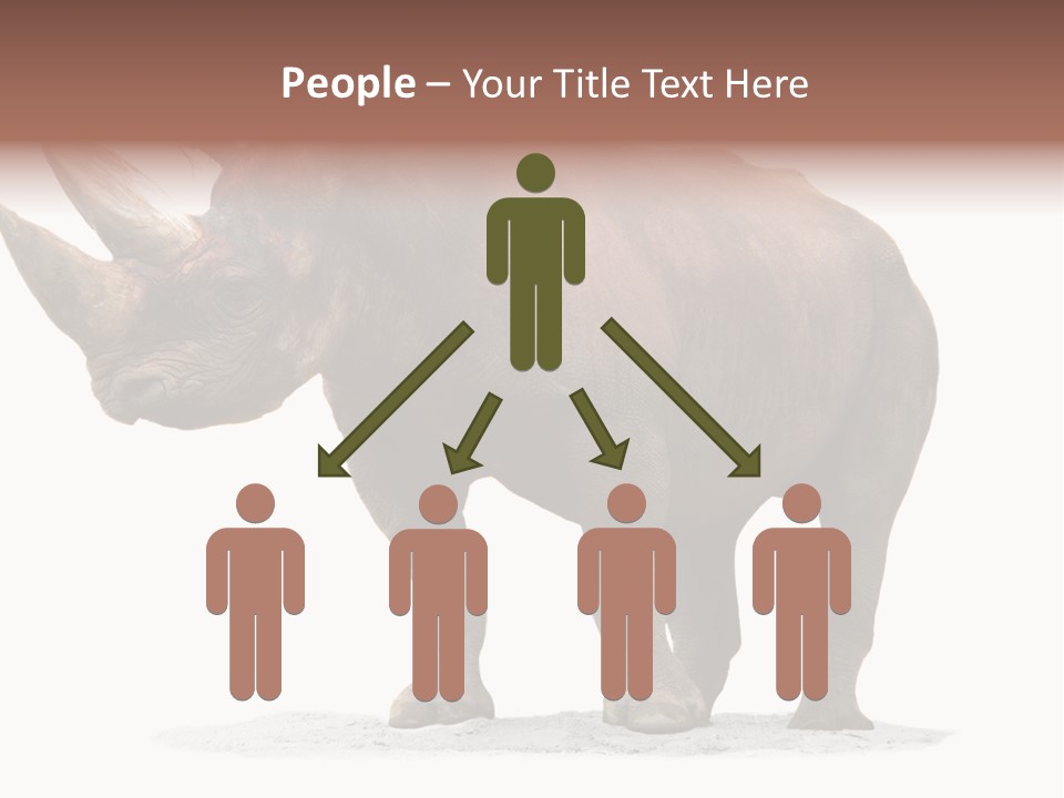 Wild Black Diceros PowerPoint Template