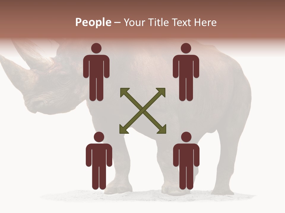 Wild Black Diceros PowerPoint Template