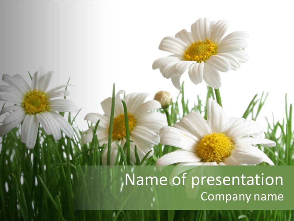 Yellow Grass Lawn PowerPoint Template