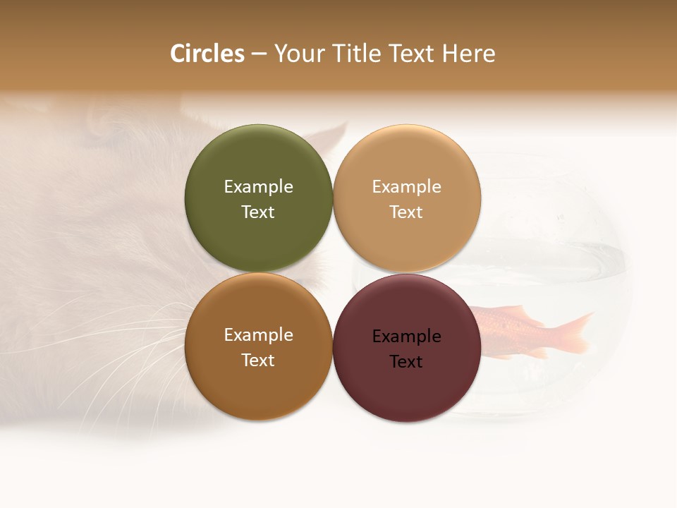 Snack Predator Stare PowerPoint Template