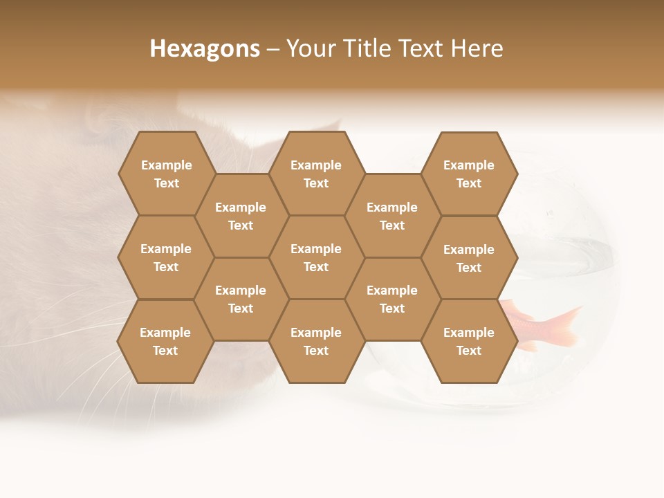 Snack Predator Stare PowerPoint Template