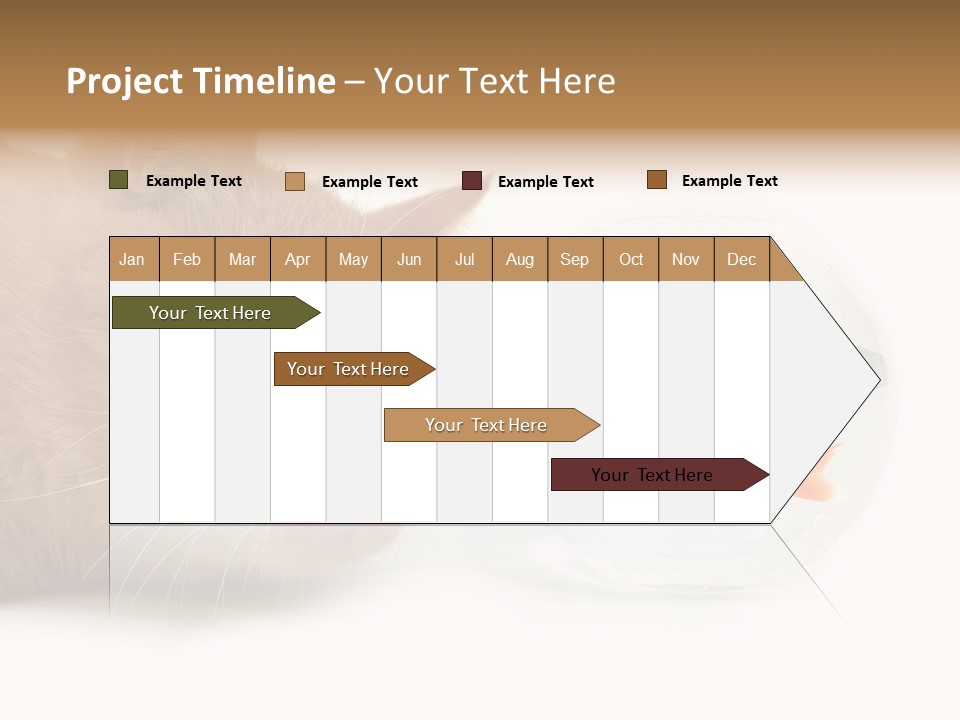 Snack Predator Stare PowerPoint Template