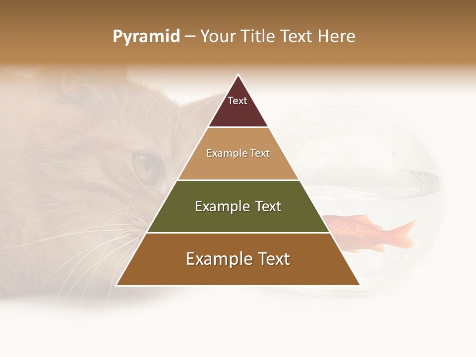 Snack Predator Stare PowerPoint Template