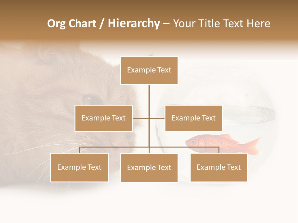 Snack Predator Stare PowerPoint Template