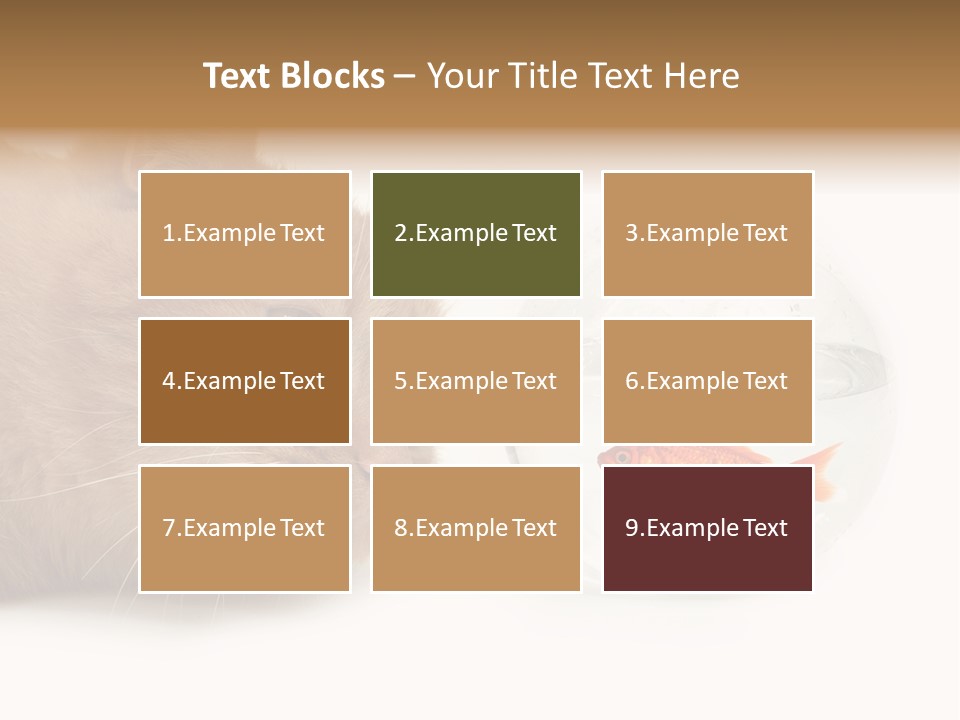 Snack Predator Stare PowerPoint Template