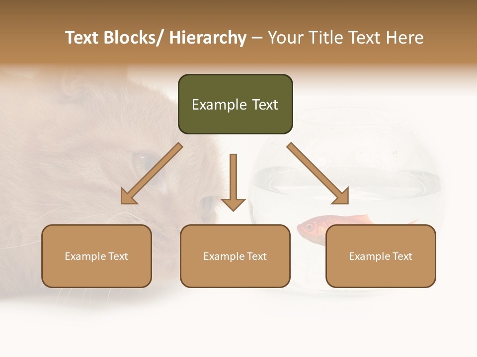Snack Predator Stare PowerPoint Template
