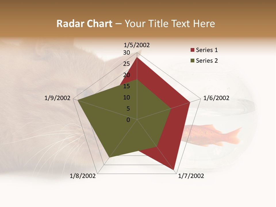 Snack Predator Stare PowerPoint Template