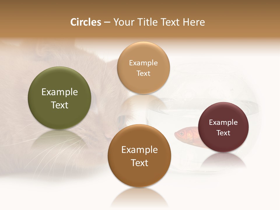 Snack Predator Stare PowerPoint Template