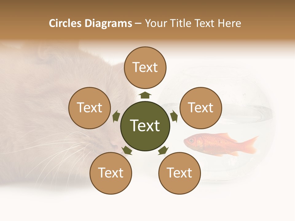 Snack Predator Stare PowerPoint Template