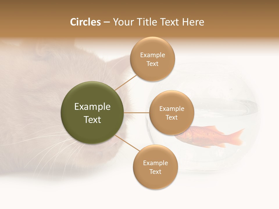 Snack Predator Stare PowerPoint Template