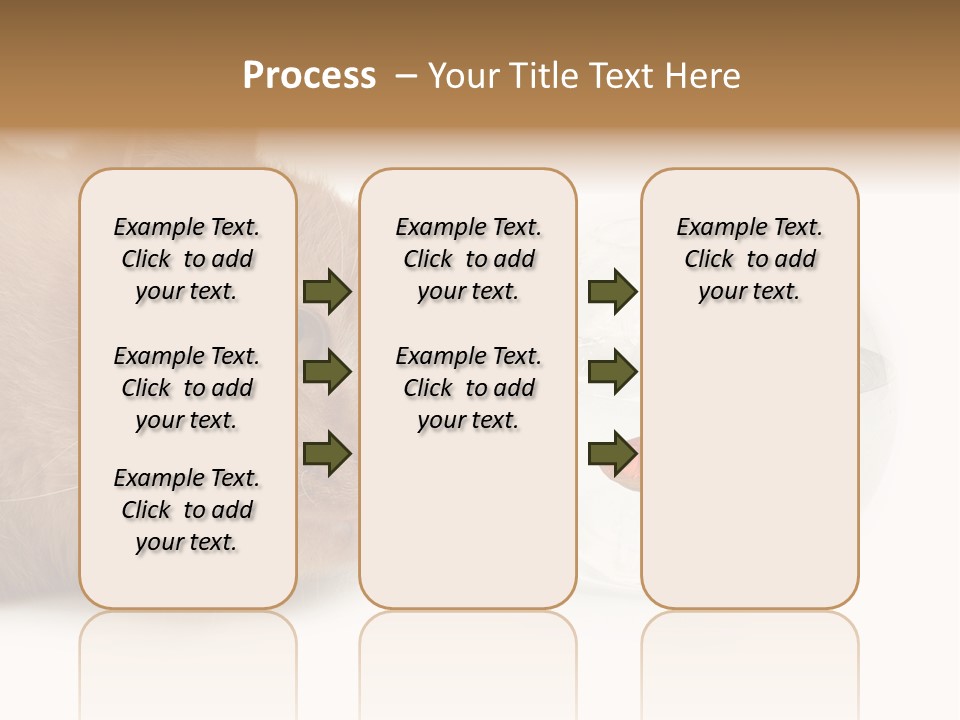 Snack Predator Stare PowerPoint Template