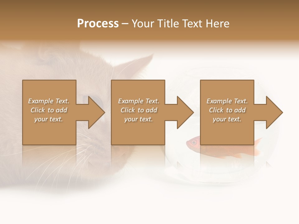 Snack Predator Stare PowerPoint Template