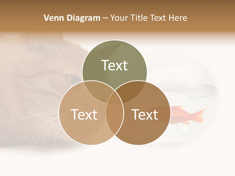 Snack Predator Stare PowerPoint Template