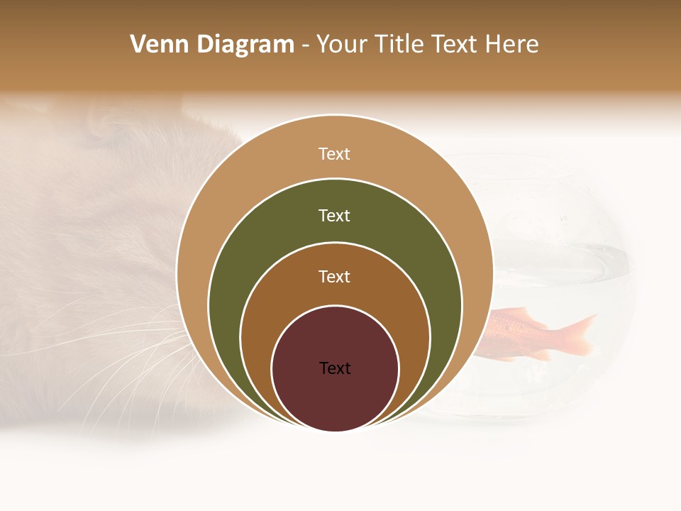 Snack Predator Stare PowerPoint Template