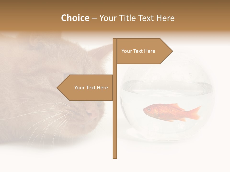 Snack Predator Stare PowerPoint Template