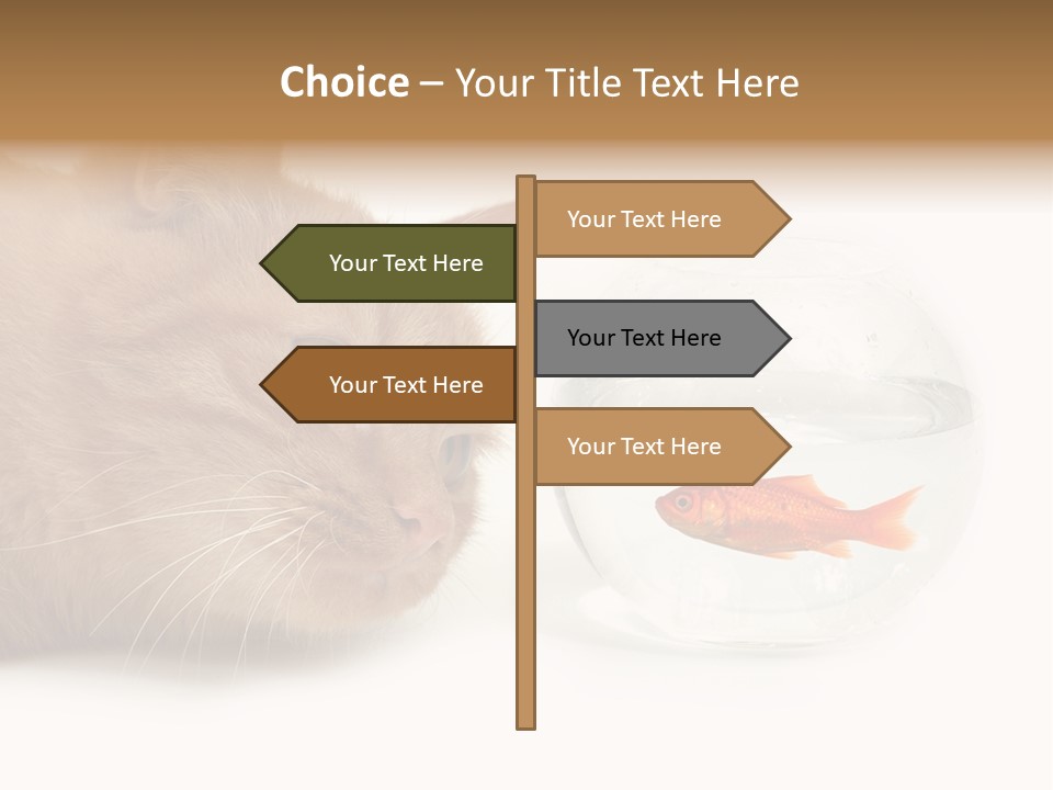 Snack Predator Stare PowerPoint Template