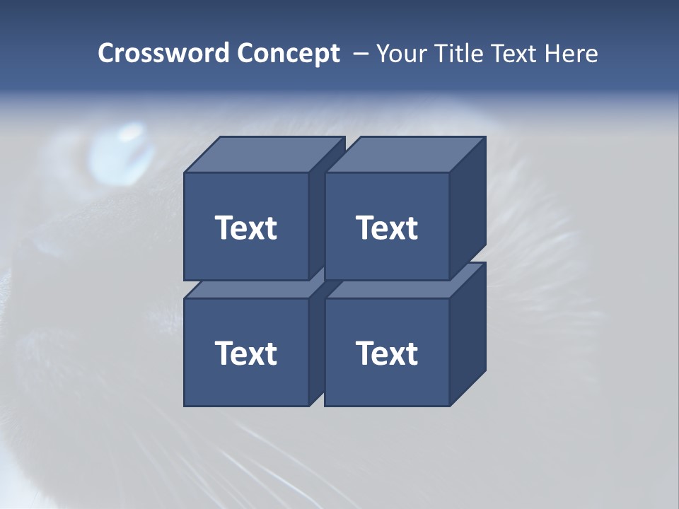 Staring Beautiful Pet PowerPoint Template