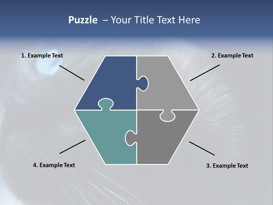 Staring Beautiful Pet PowerPoint Template