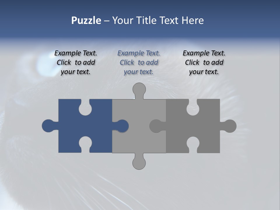 Staring Beautiful Pet PowerPoint Template