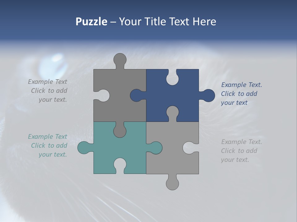 Staring Beautiful Pet PowerPoint Template