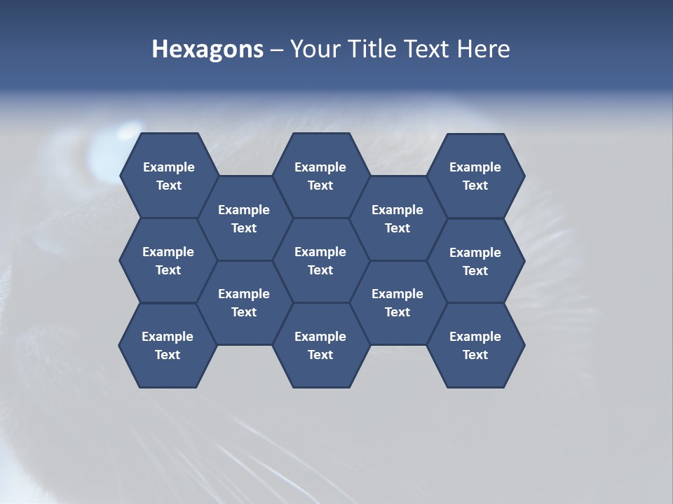 Staring Beautiful Pet PowerPoint Template