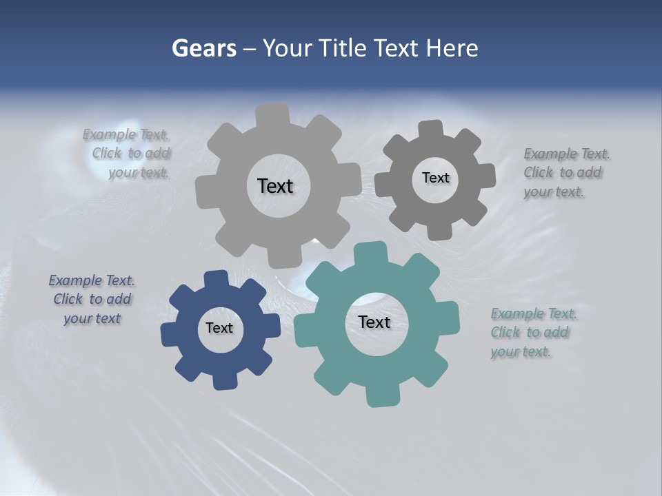 Staring Beautiful Pet PowerPoint Template